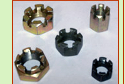 Castle & Slotted Nuts